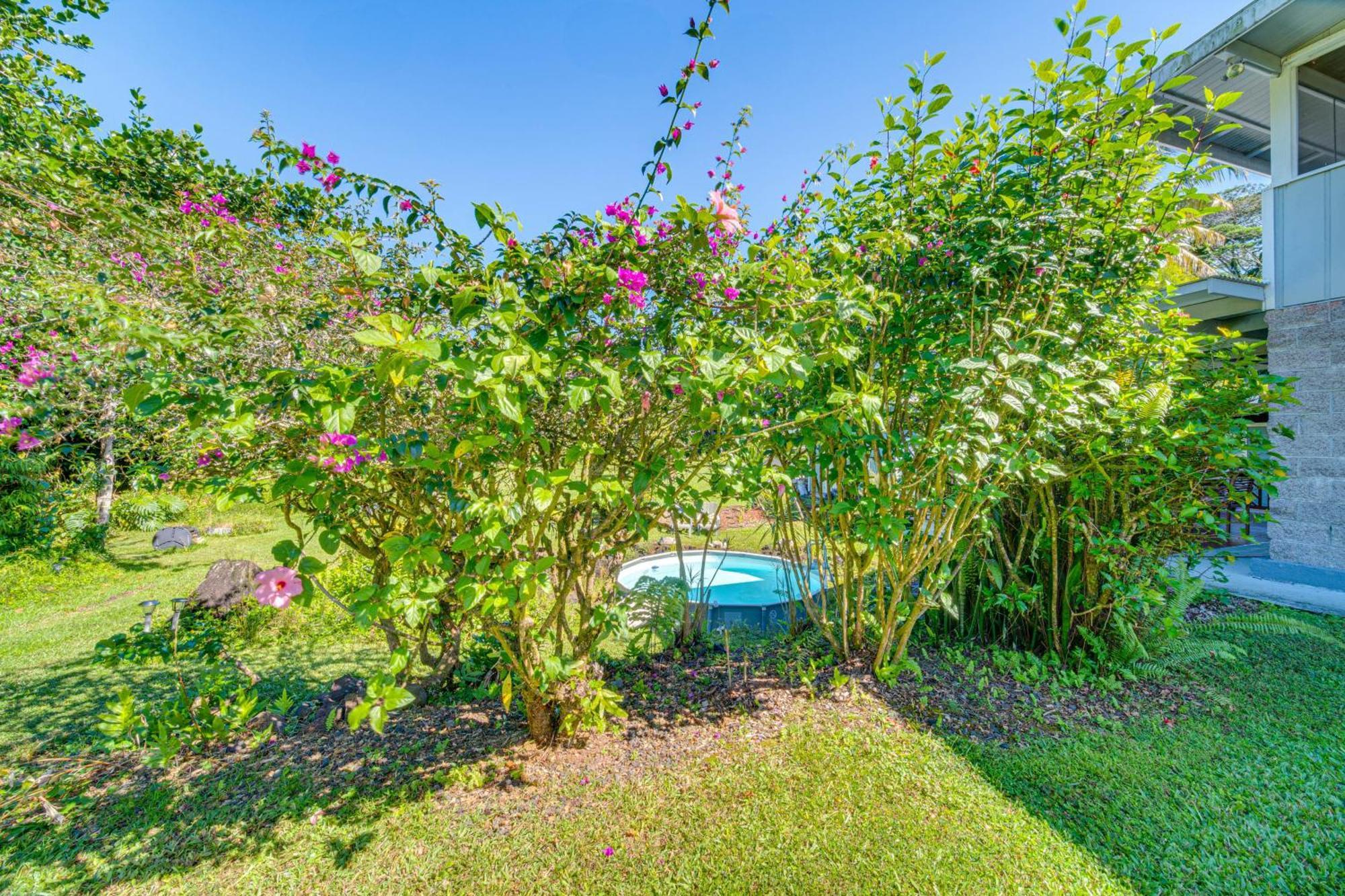 Keaau Apartment On Beautiful Acre With Pool And Deck! Exterior photo