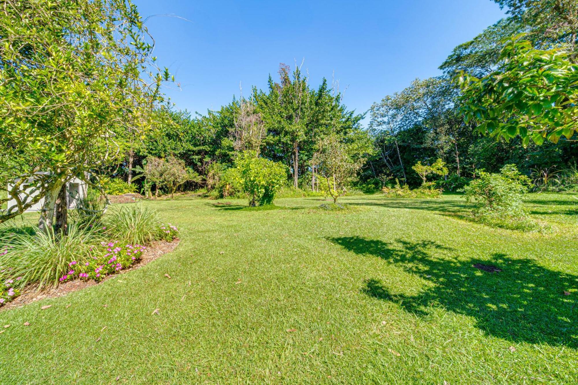 Keaau Apartment On Beautiful Acre With Pool And Deck! Exterior photo